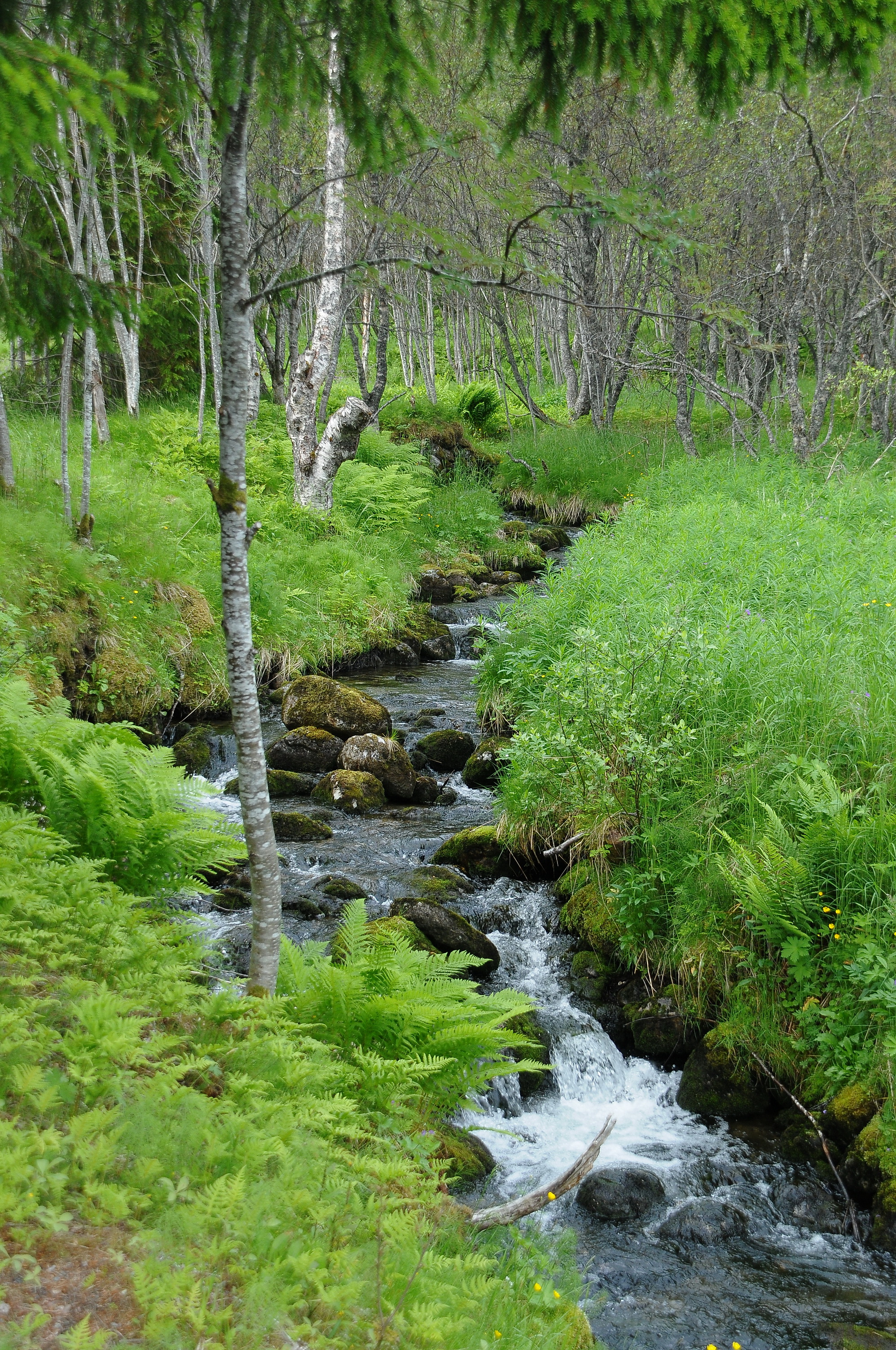 Ausflug Inselwelt der Vesteralen